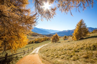 Colori d'autunno in Vallecamonica